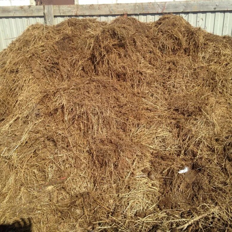 Складирование навоза. Навоз коровий. Навоз домашний. Навоз с соломой. Подстилочный навоз.