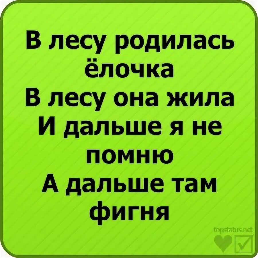 Четыре пьяных ежика и гена. Четыре пьяных ежика и гена