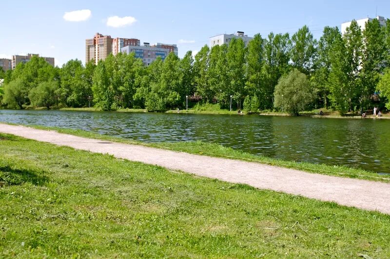 пионерский пруд парк горького. парк горького москва. патриаршие пруды пруды москвы. парк культуры голицынский пруд. москва патриаршие пруды 20 век.