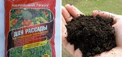 Лучшая земля для рассады помидоров