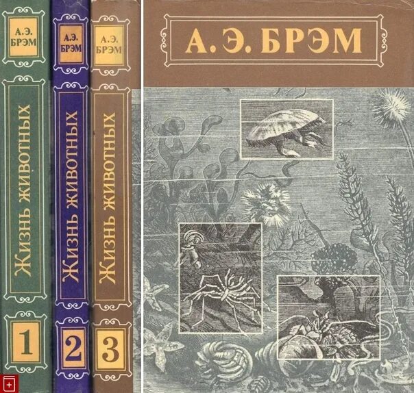 Книга брэма жизнь животных. Книги брема. Книги брема. Книги брема. Книги брема.