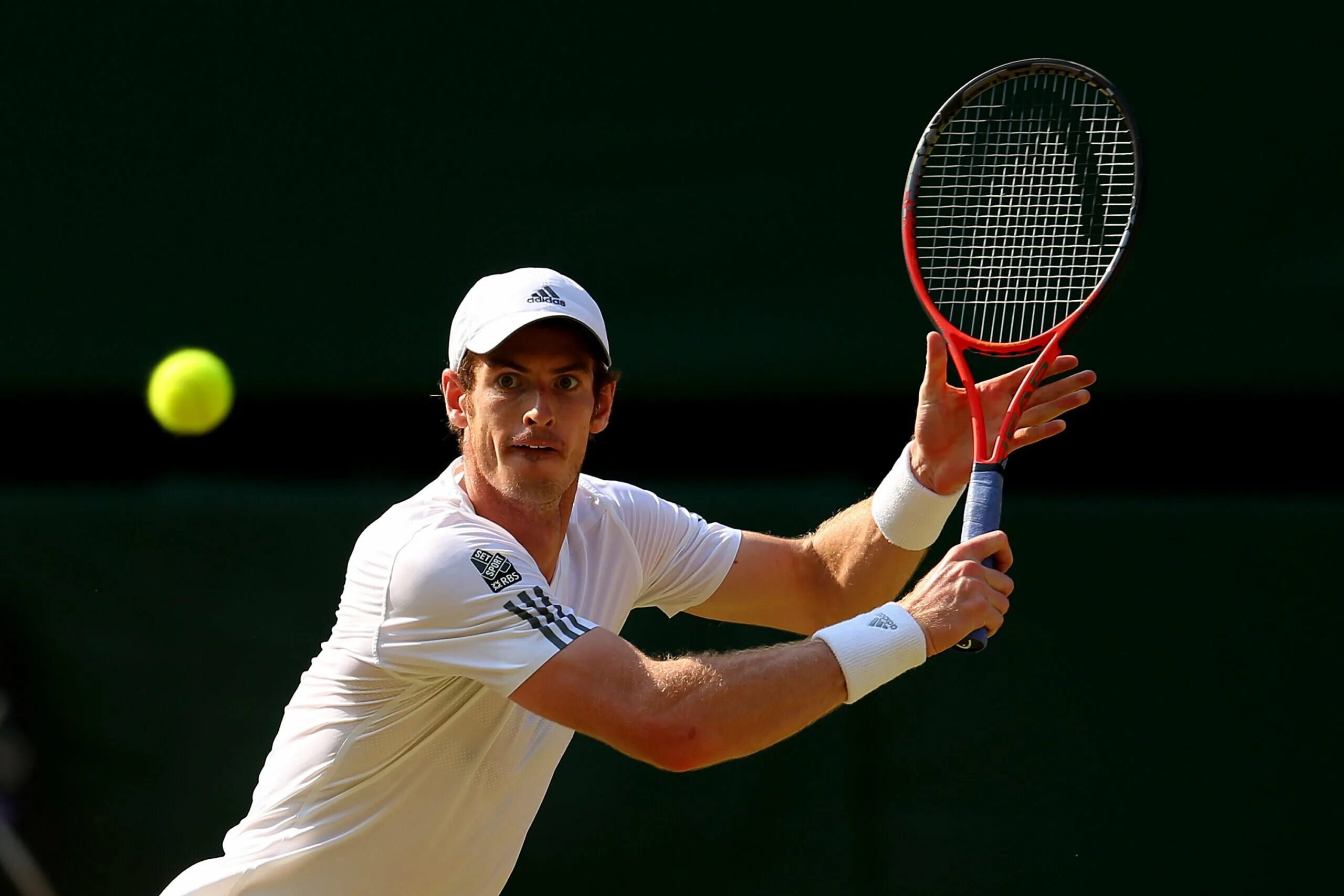 Теннис прогноз на сегодня мужчины. Wimbledon Tennis Tournament in great Britain. Теннис. Теннис в Англии. Спорт в Великобритании теннис.