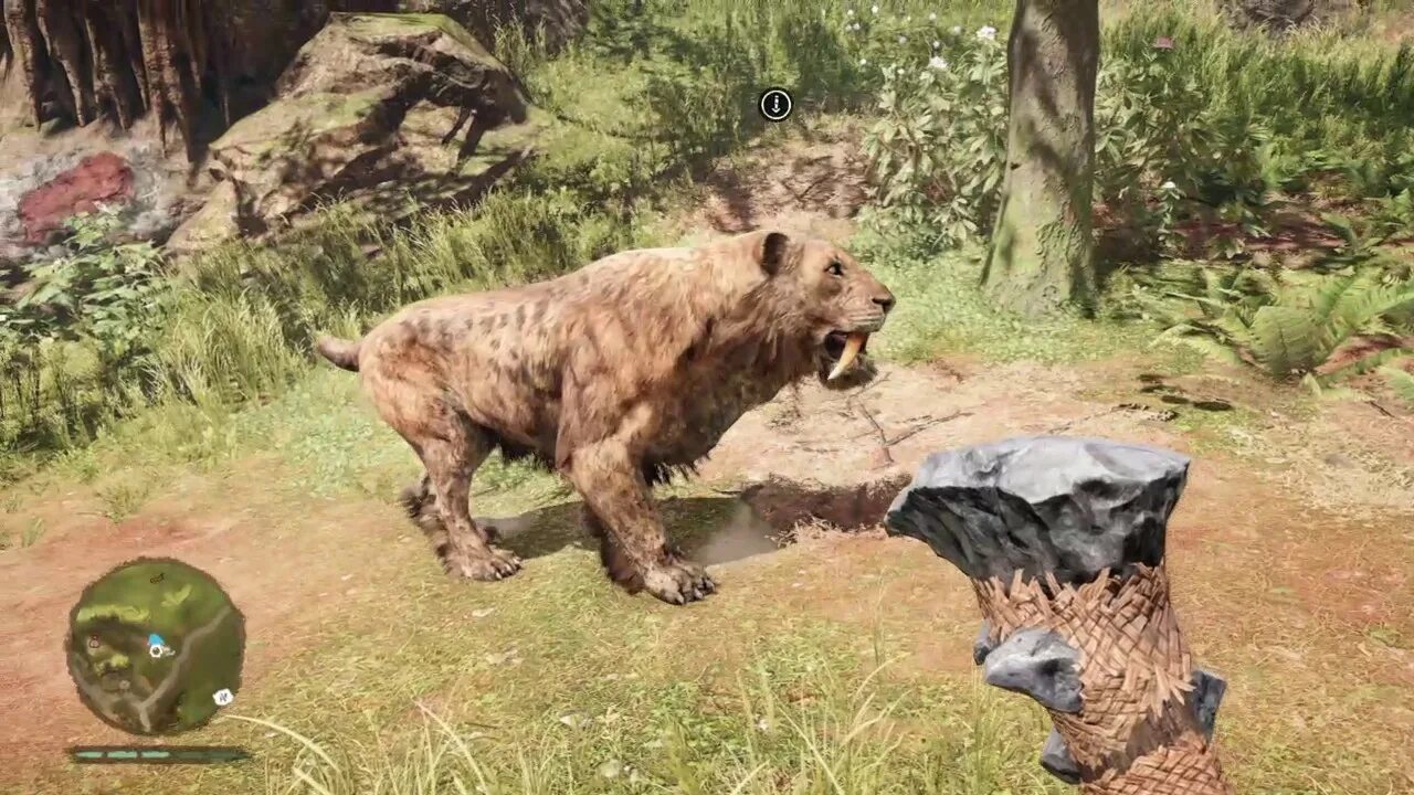 Conan exiles саблезуб. Саблезубый тигр из far cry primal. саблезуюбый тиг фаркрай.