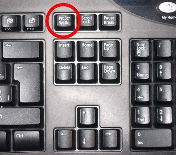 Ответы Mail.ru: Помогите найти клавишу Где на клавиатуре win 7 asus находится / 