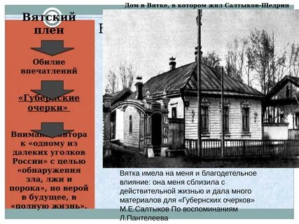 В какой губернии родился салтыков