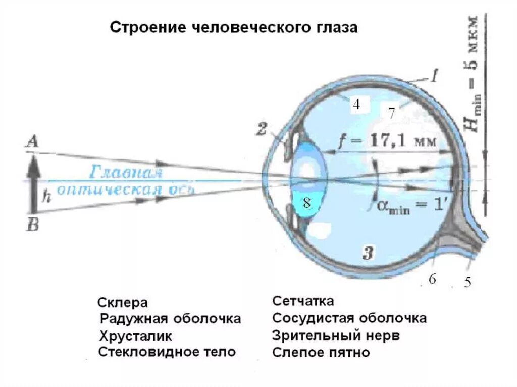 Тема урока глаз. Глаз и зрение презентация. Эффекты зрения человека. Глэр эффект зрение. Фотохимия зрения презентация.