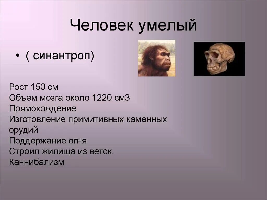 Объем мозга человека прямоходящего. Человек умелый объем мозга рост масса. Хомо хабилис мозг. Хомо хабилис объем мозга. Человек умелый рост и объем мозга.