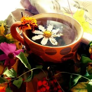 Картинки чай цветами