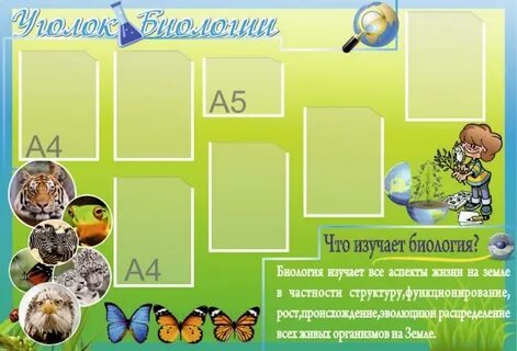 Оформление биологии