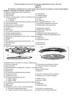 Строение и функции клеток тест 10 класс
