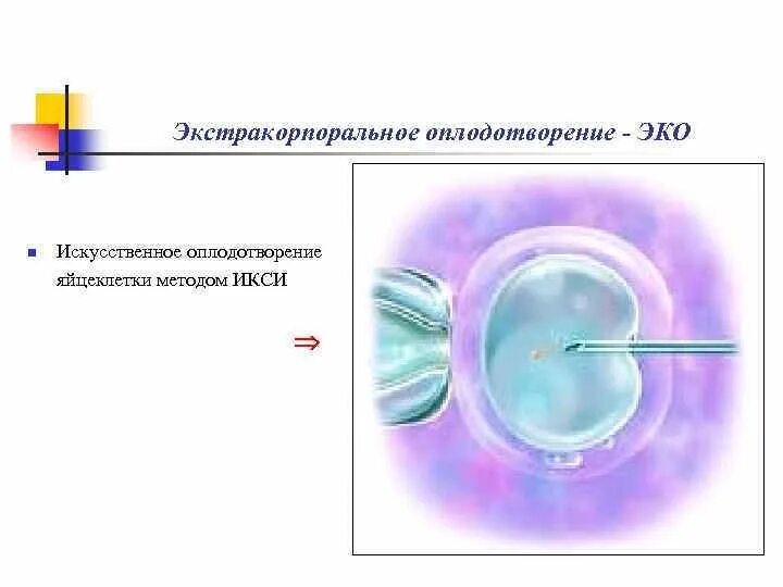 Искусственное оплодотворение. Эко это искусственное оплодотворение. ИКСИ оплодотворение что это. ИКСИ оплодотворение показания.