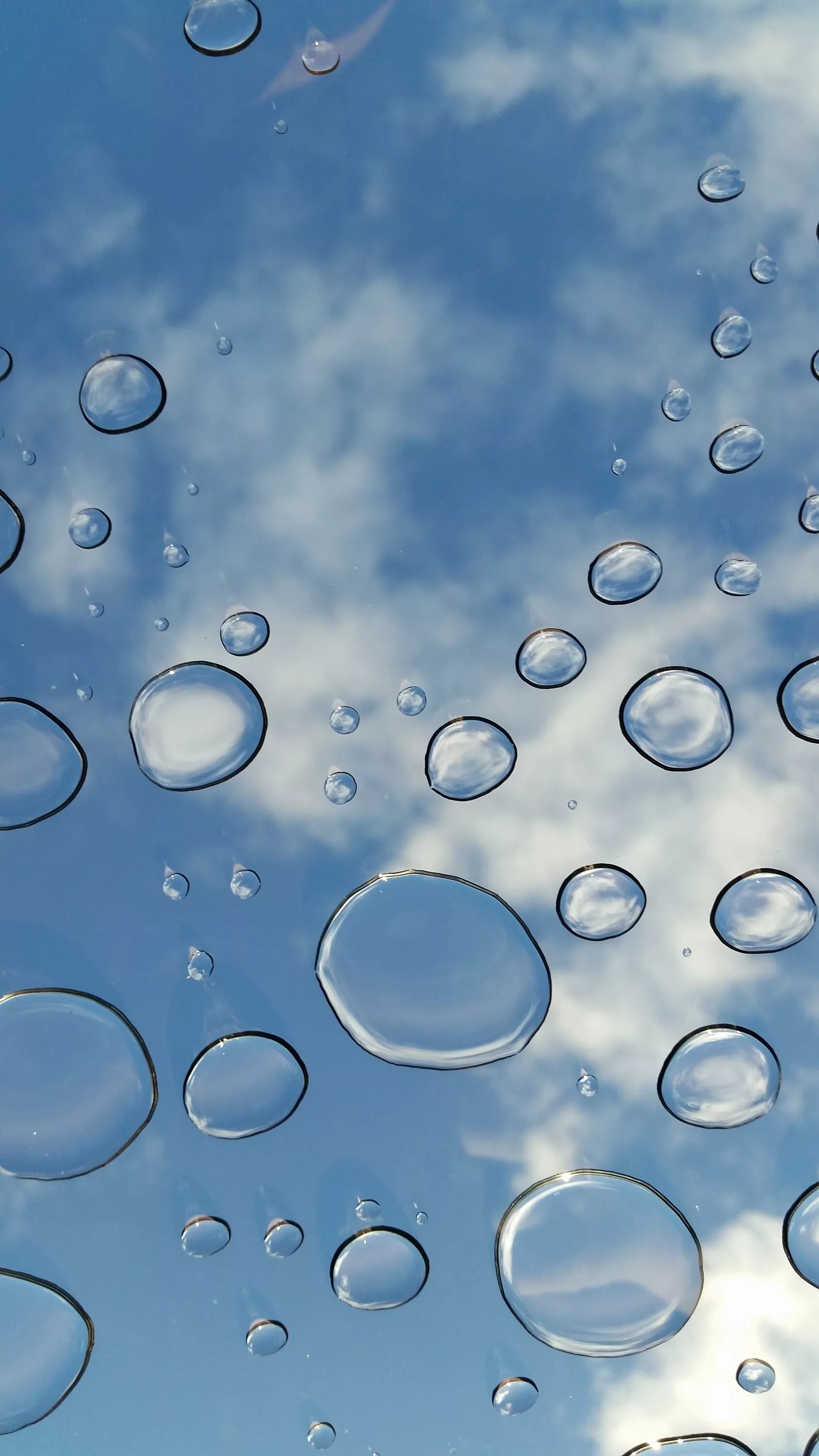 Туман везде поднимается вода пузырьками садится. Капля воды. Пузырьки в воде. Капелька воды. Водяной пузырь.