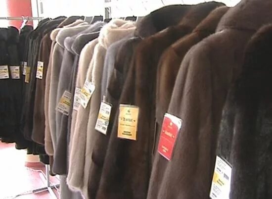 Дк железнодорожников шубы. Выставка шуб в дк железнодорожников. Дк железнодорожников ярмарка шуб. Скидки на шубы. Выставка пальто в дк железнодорожников.