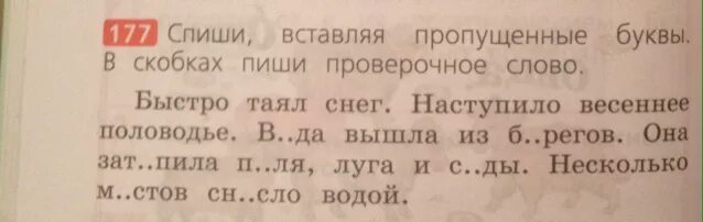 Спишите вставьте пропущенные буквы в скобках. Вставь пропущенную букву напиши проверочное слово. вставь слово в скобках. пропущенную букву в скобках запиши проверочное слово. задания по русскому вставить пропущенные буквы.