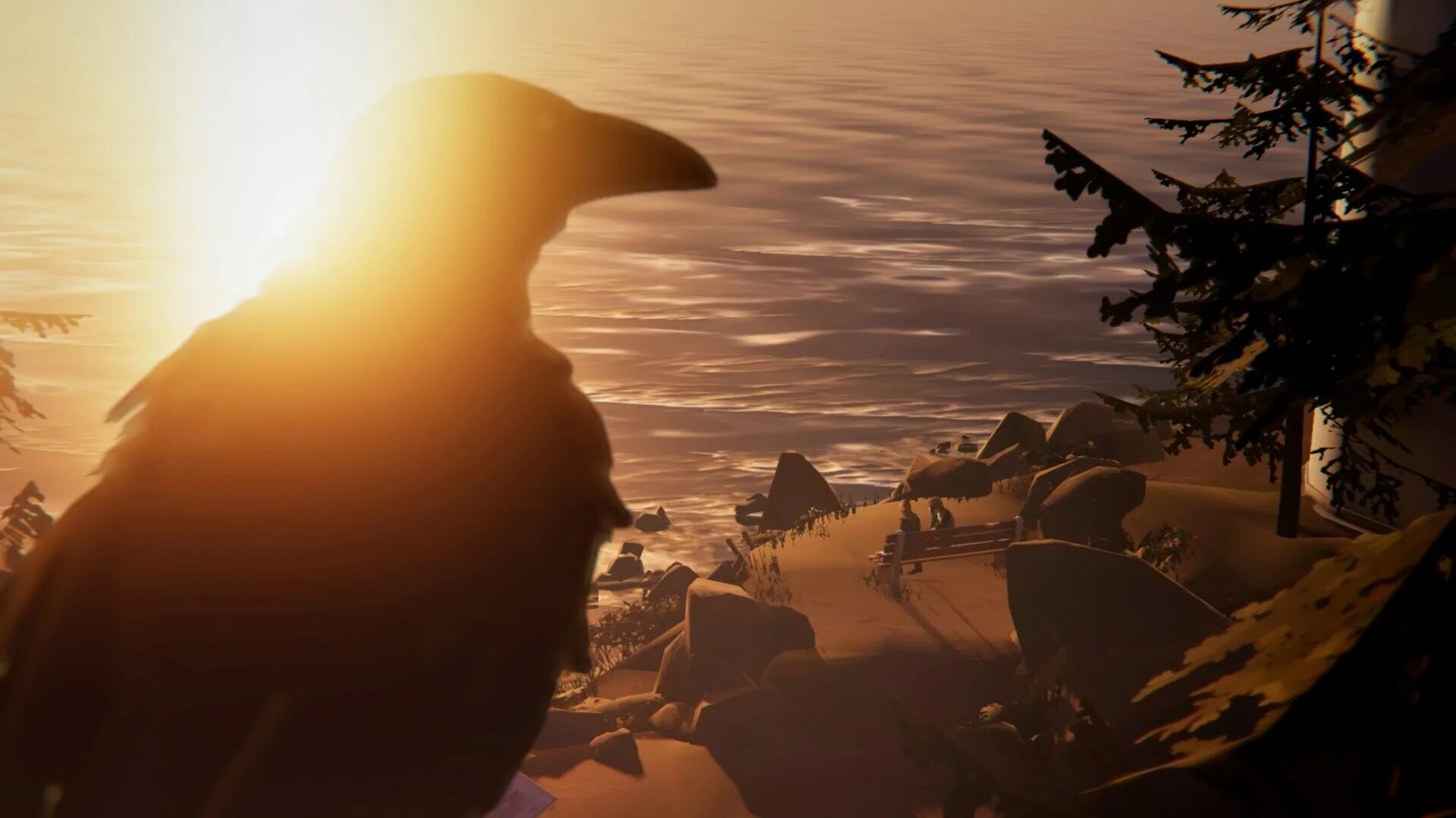 The day i end my life. The Raven Episode 1 обои. Life is Strange before the Storm Raven. Фото на аву стим природа. Стрендж смотрит вдаль.