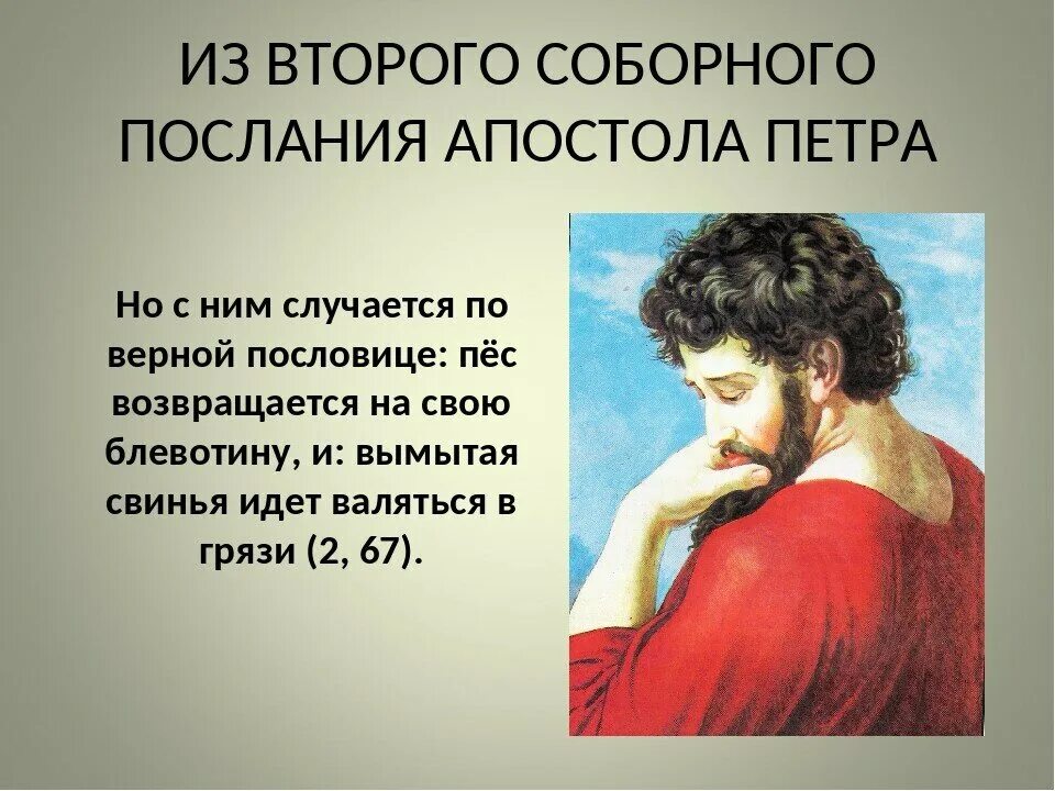 Пес всегда возвращается на свою блевотину. Послание апостола Петра. Второе Соборное послание Святого апостола Петра. Соборные послания апостолов.