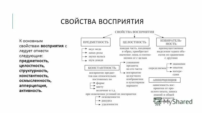 Определите какие свойства восприятия. Характеристика свойств восприятия в психологии. Схема основные свойства восприятия в психологии. Характеристика видов восприятия в психологии. Понятие восприятия виды и свойства восприятия.