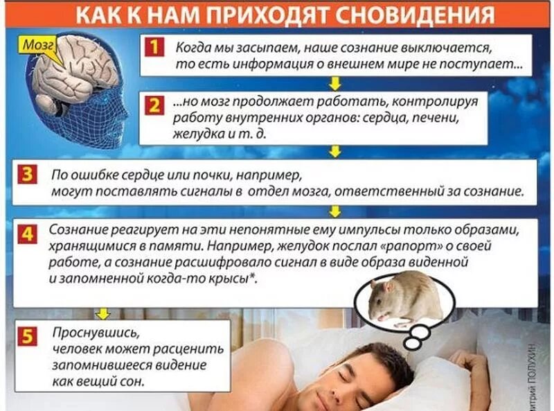 Сны и сновидения. Влияние сна на мозг человека. Тело человека во время сна. Сновидения мозг человек. Отдыхает ли мозг
