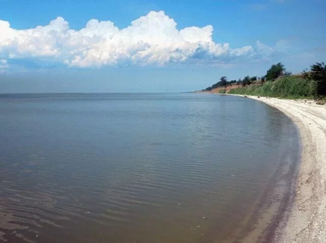 Каневском море. Лиманы Краснодарского края. Станица Бриньковская Краснодарский край. Великий Лиман Краснодарский край. Бейсугский Лиман.