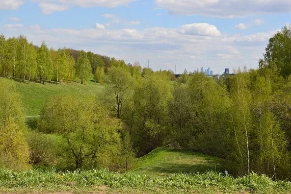 Роща зеленеет тютчев. Стих тютчева смотри как роща зеленеет. Тютчев смотри как роща. Стихи тютчева о природе. Смотри как роща зеленеет палящим солнцем облита.