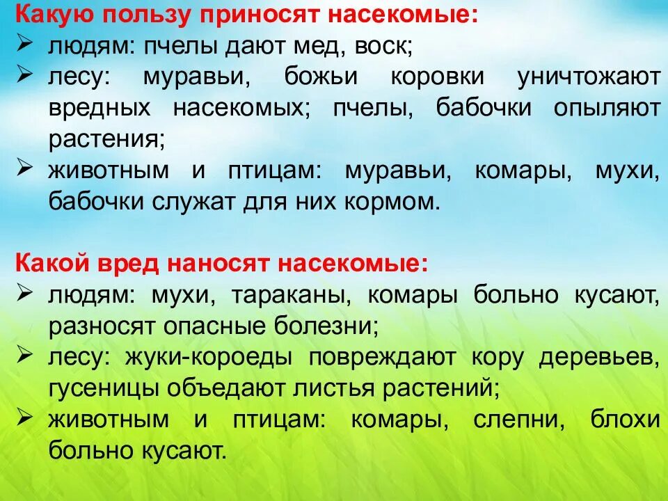 Какие насекомые приносят пользу человеку. Какую пользу приносит человек. Какую пользу приносит. Какую пользу приносят насекомые приносят людям.