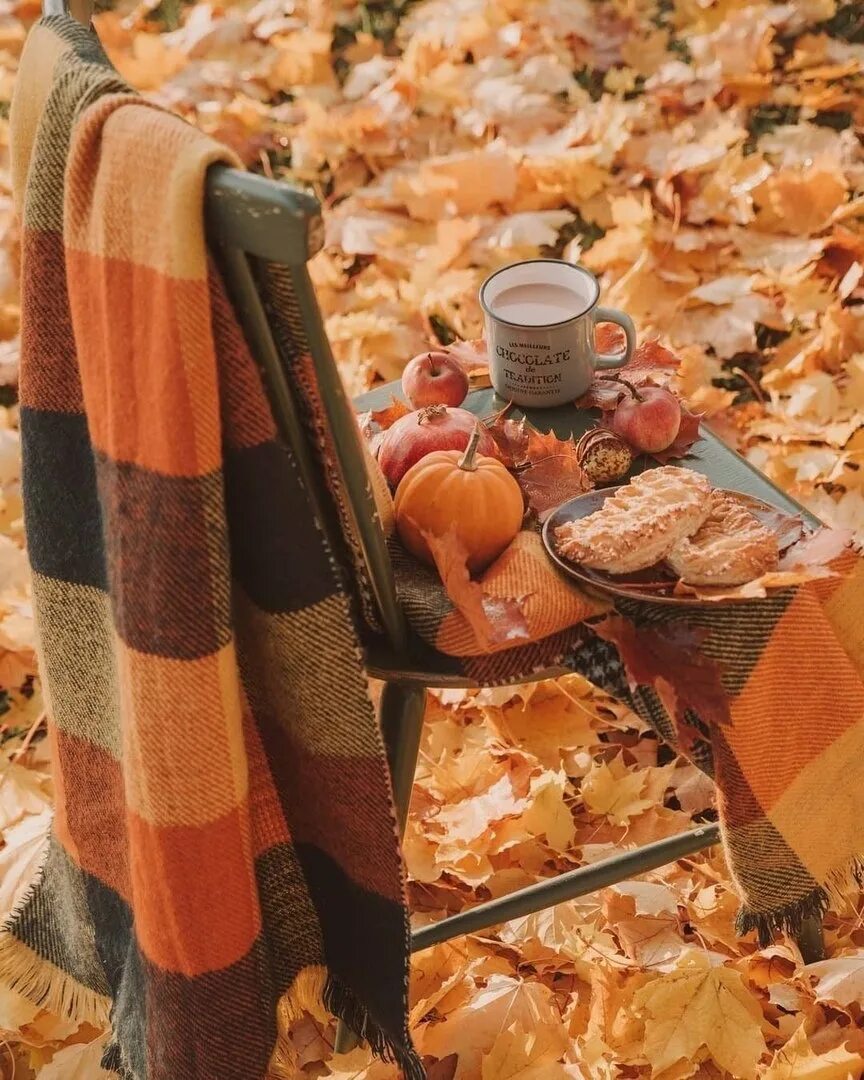 Какая теплая осень в этом году. Уютная осень. Осенний плед. Осенний уют. Красивая осень уют.