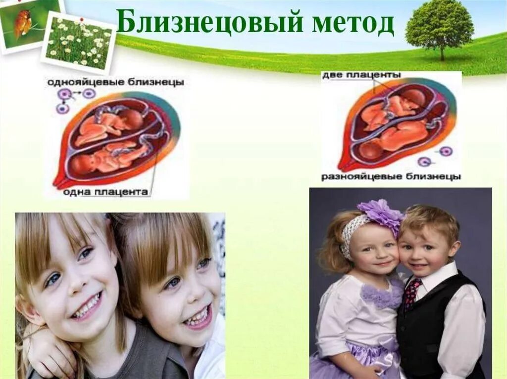 Типы близнецовых методов