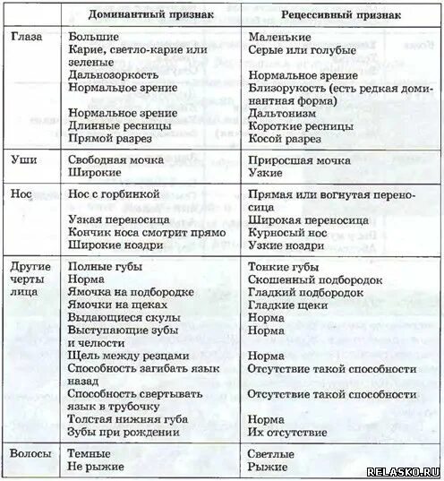 Тонкие губы доминантный или. Рецессивные гены примеры. Наследование признаков у человека таблица. Наследование признаков у человека. Тонкие губы доминантный или.