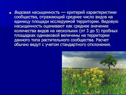 Примеры видового состава