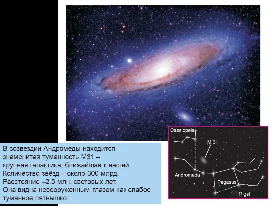 31 созвездие. Туманность Андромеды м31. Галактика в созвездии Андромеды. Туманность Андромеды Созвездие Андромеды. Сколько звезд в галактике Андромеда.