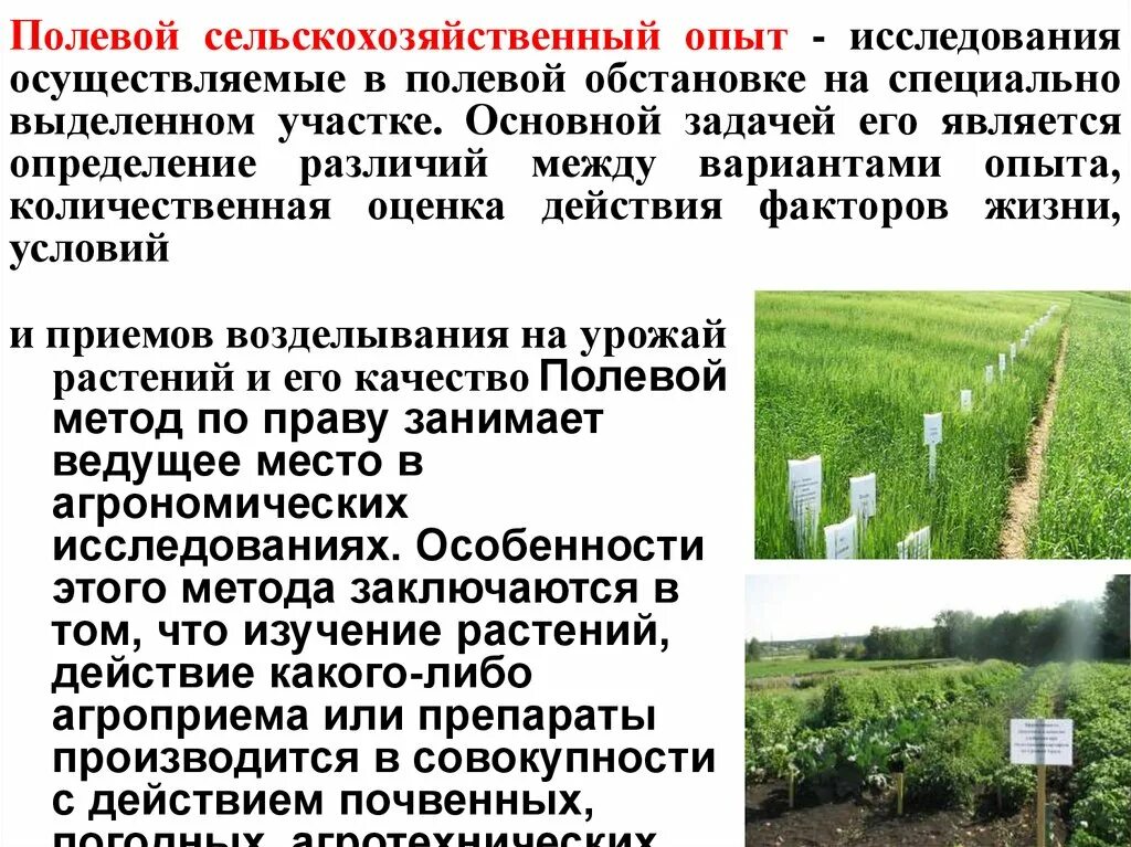 Эксперимент лабораторный полевой. Эксперимент лабораторный полевой