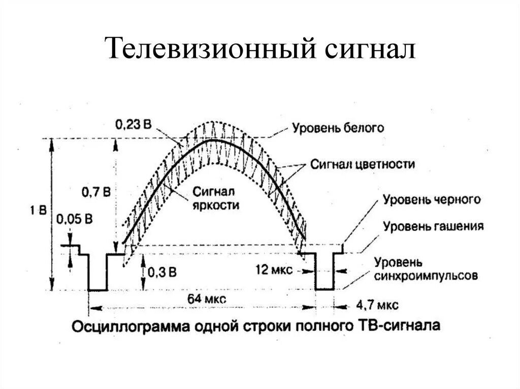 Телевизор аналогового сигнала. ПЦТС полный телевизионный сигнал. Основные параметры телевизионного сигнала. Измерение параметров полного телевизионного сигнала. Структура телевизионного сигнала Pal.