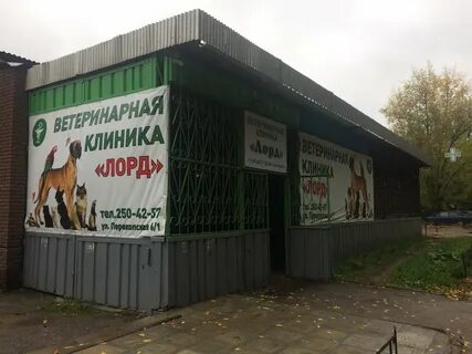 Ветклиника нижний новгород
