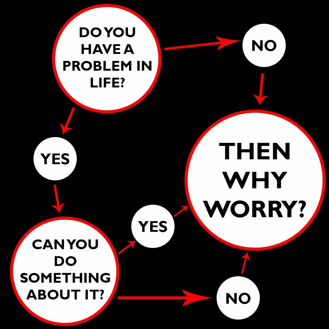 Why have you got that worry expression. Why worry. why worry lama. you have a problem.