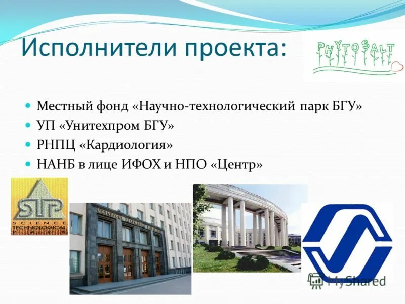 Мау институт. Институт развития интернета питчинг. Ирси. Институт профессионального образования лого. Ниб университет.