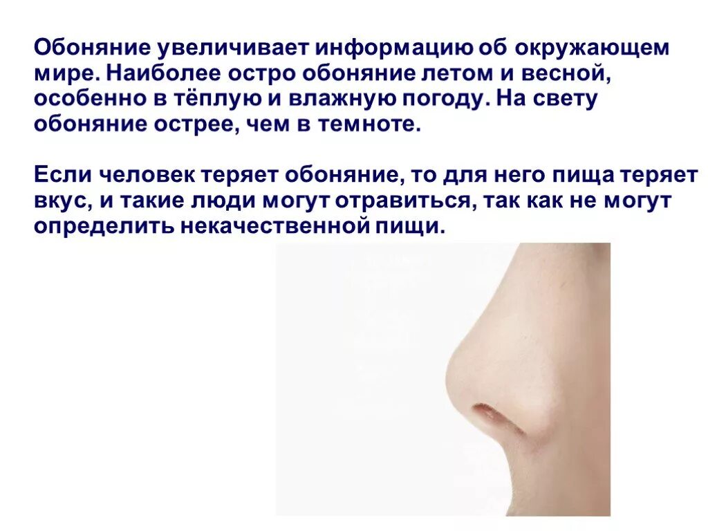Обоняние текст. Органы чувств нос. Сообщение об органе чувств нос. Нос орган обоняния. Презентация на тему нос.
