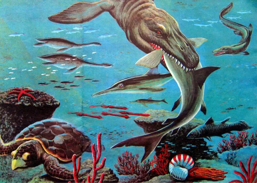 Мир динозавров. Цели палеонтологии. Наука о древних животных. Доказательства эволюции животных палеонтологические доказательства. Динозавры кайнозойской эры.