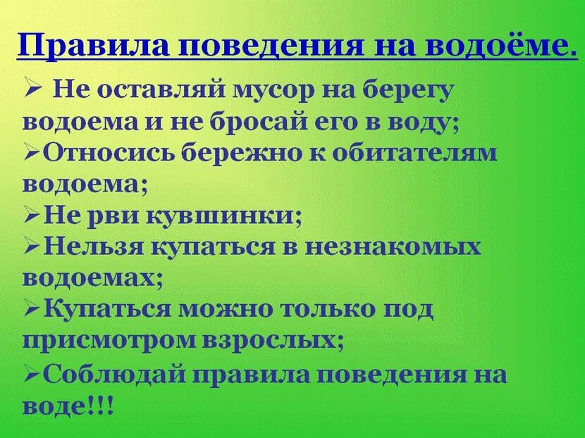 Правила на воде в лесу. Правила поведения на берегу водоема. Правило поведения у водоемов. Правила поведения уберегу водоема. Правила поведения у водоема 2 класс.