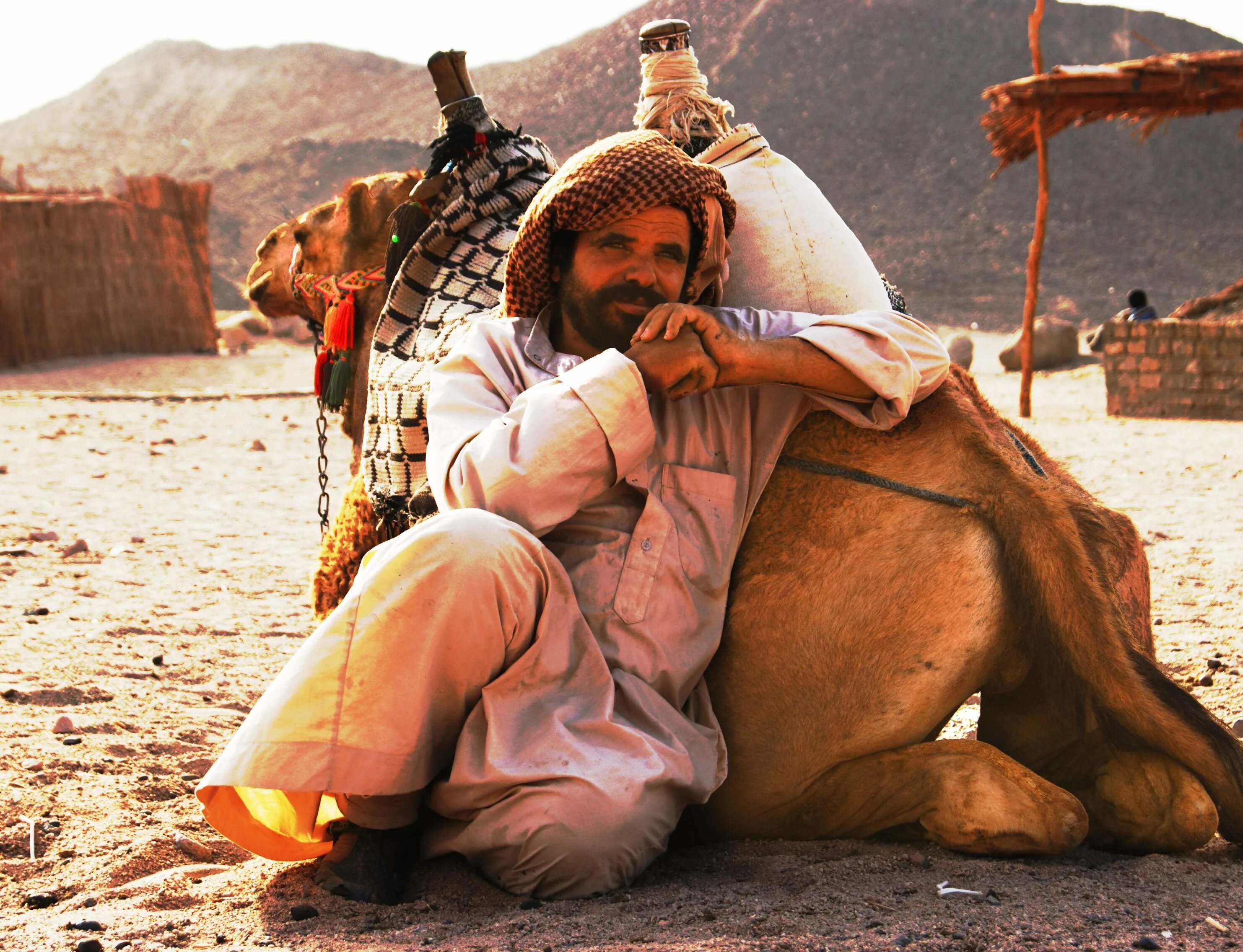 Верхняя одежда бедуинов 6 букв. Берберы туареги бедуины. Бедуины Жером. Бедуины в Египте. Красивые бедуины.