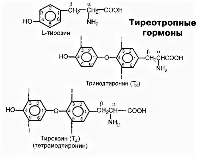 Тиреотропный гормон химическая структура. Тиреотропный гормон строение. ТТГ формула структурная. Химическая структура ТТГ.