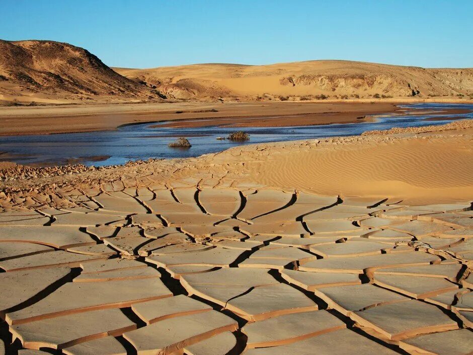 Где в пустыне вода. Где в пустыне вода