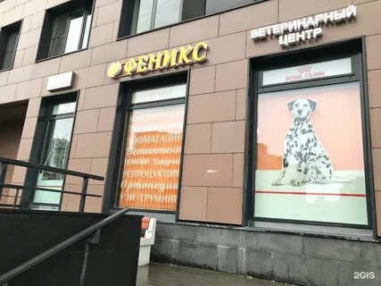 Ветклиника феникс