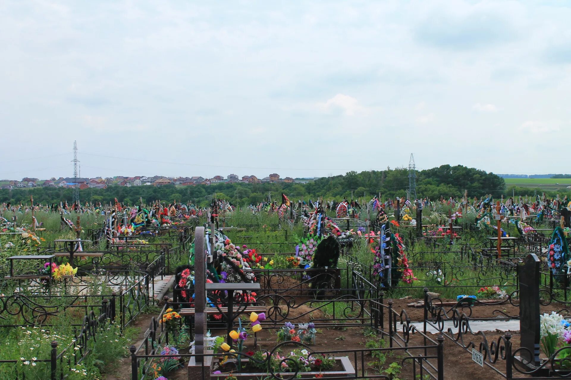 Городское кладбище Белгород. Юго-Западное кладбище Белгород. Стрелецкое кладбище Белгород. Центральное кладбище Белгород. Новое кладбище телефон