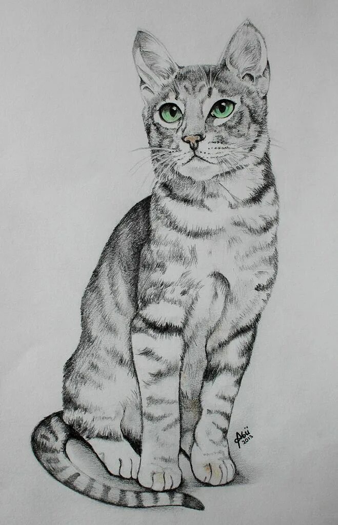 Кошка рисунок карандашом. Кот карандашом. Кошка рисунок. Красивый рисунок кошки карандашом.