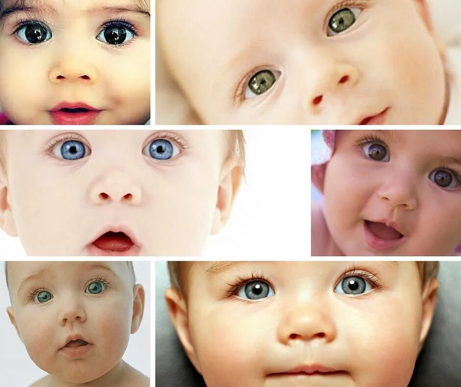 Цвет глаз новорожденного ребенка. У ребенка меняется цвет глаз. Меняются глаза у новорожденных. Меняется цвет глаз у новорожденных.