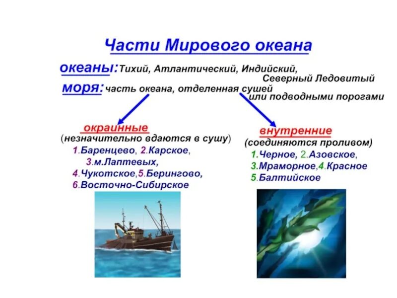 Части мирового океана 6 класс география. Составные части океанов. Мировой океан термин. Определения частей мирового океана. Определение частей океана