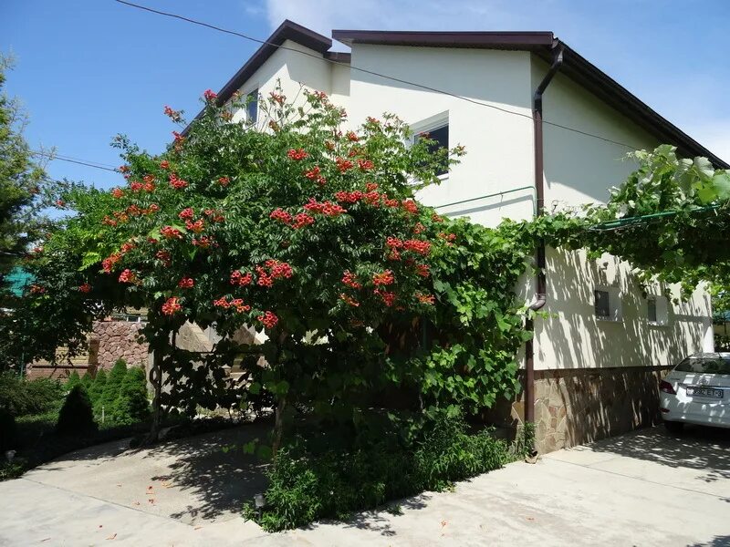 Крым николаевка советская 5. Пансионат авангард пгт николаевка. Николаевка улица. Морской бриз крым николаевка. Николаевка частный сектор.