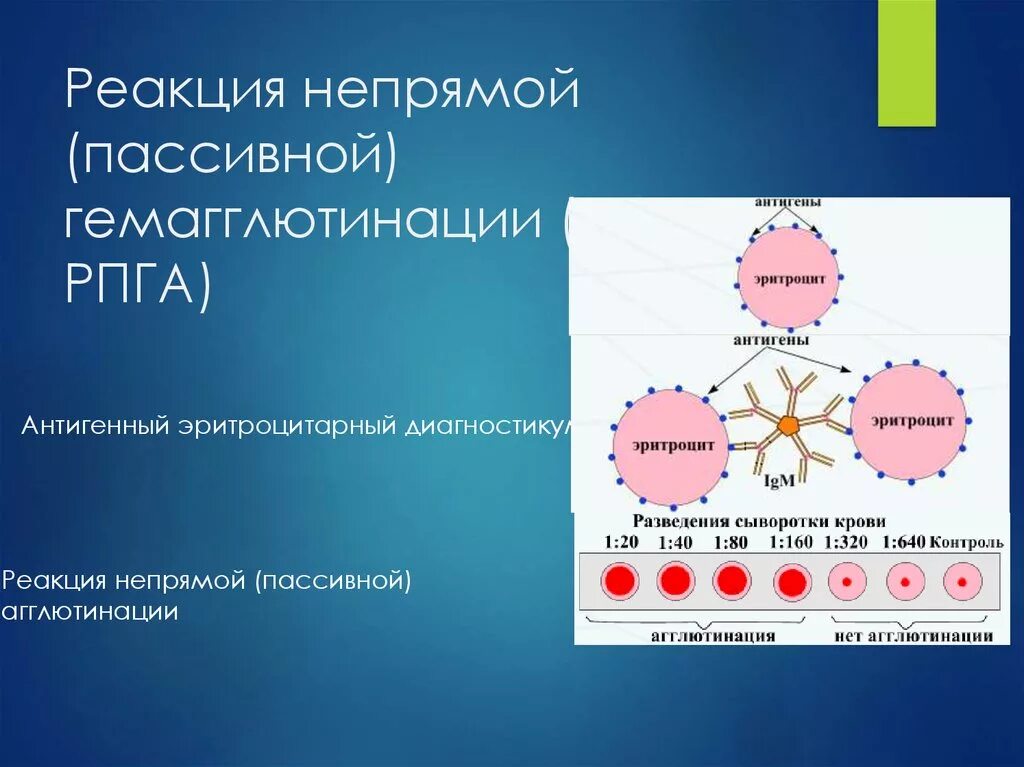 Гемагглютинация это