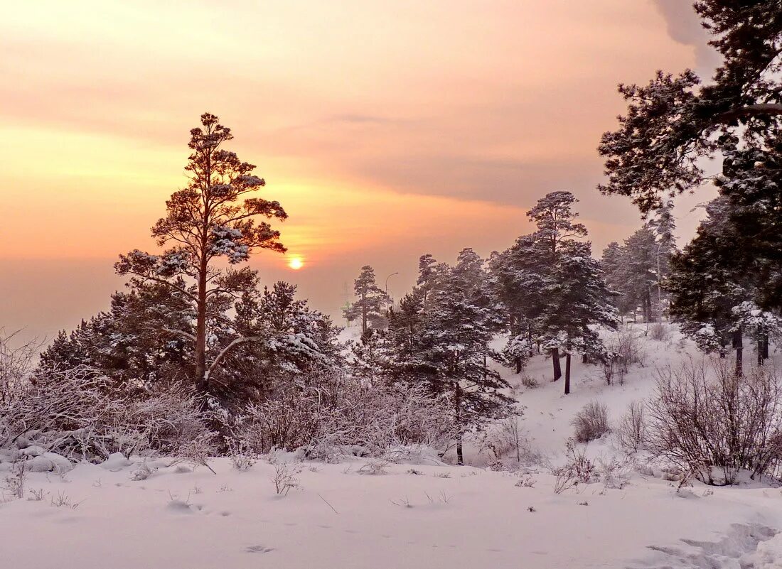 Целый месяц декабря. Пейзажи Сибири. Природа Сибири зима. Зима в Сибири. Пейзажи Сибири зимой.