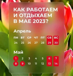 Татарстан майский